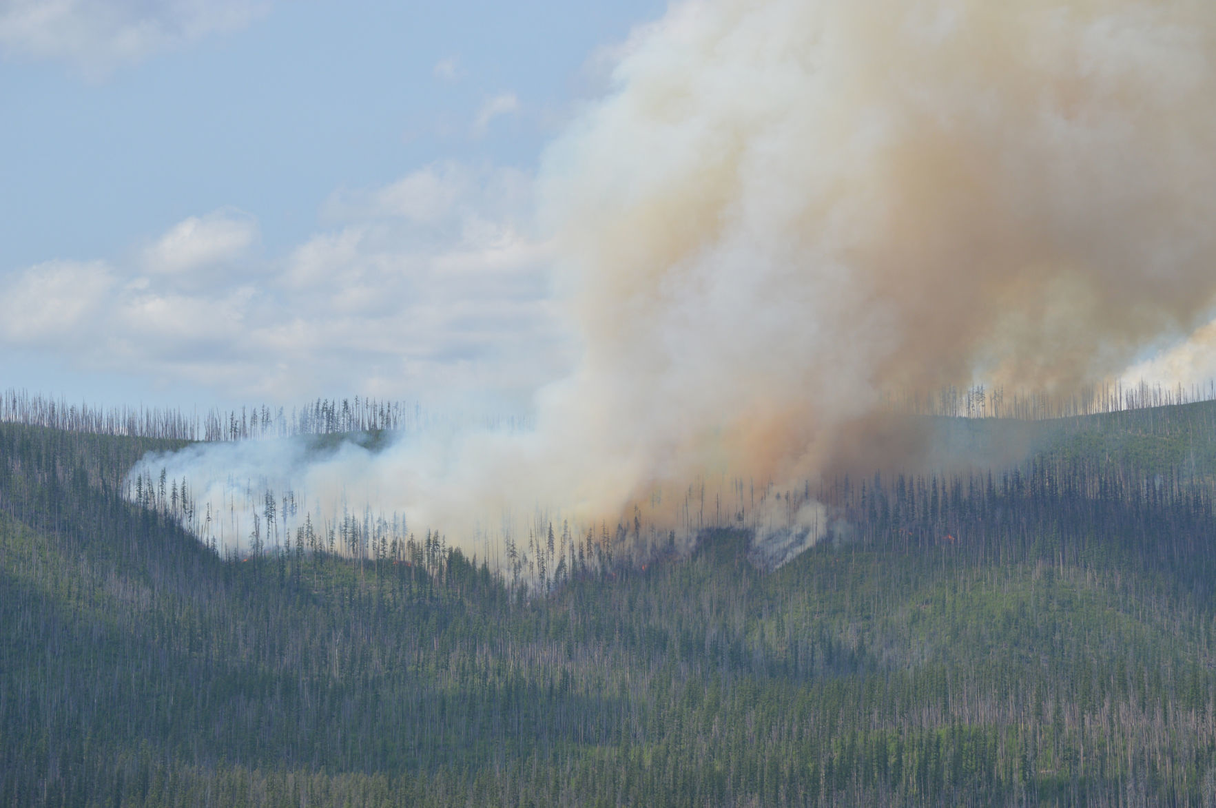 Howe Ridge fire